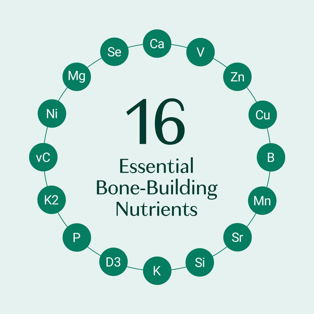 ALGAECAL Bone Builder Pack, Calcium + Strontium for Bone Density, 1 Month