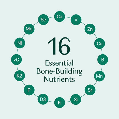 ALGAECAL Bone Builder Pack, Calcium + Strontium for Bone Density, 1 Month